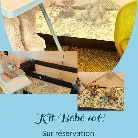 Le Condorcet. Charme Et Confort A Championnet * Гренобль